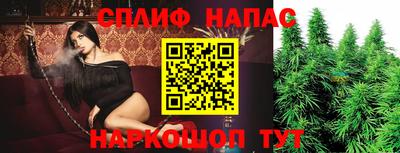 индика Пушкино