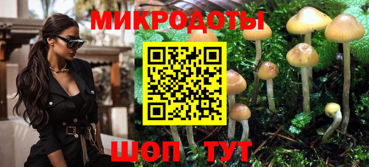 Галлюциногенные грибы Psilocybe Вольск